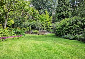 Optimiser l'expérience du jardin à Bellegarde-Poussieu